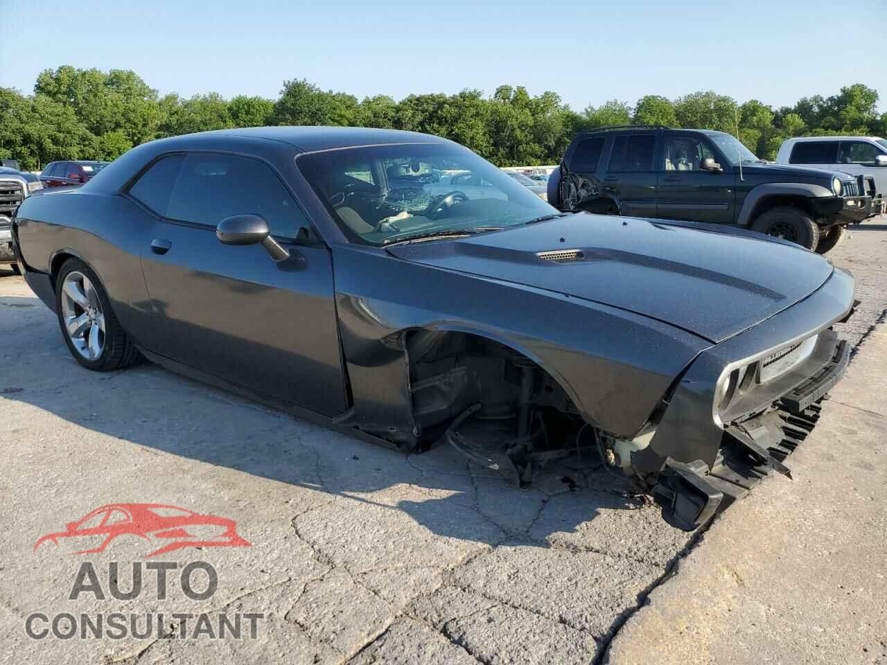 DODGE CHALLENGER 2014 - 2C3CDYAG0EH176369
