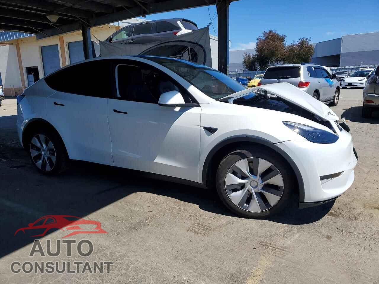 TESLA MODEL Y 2023 - 7SAYGDEE3PF742918