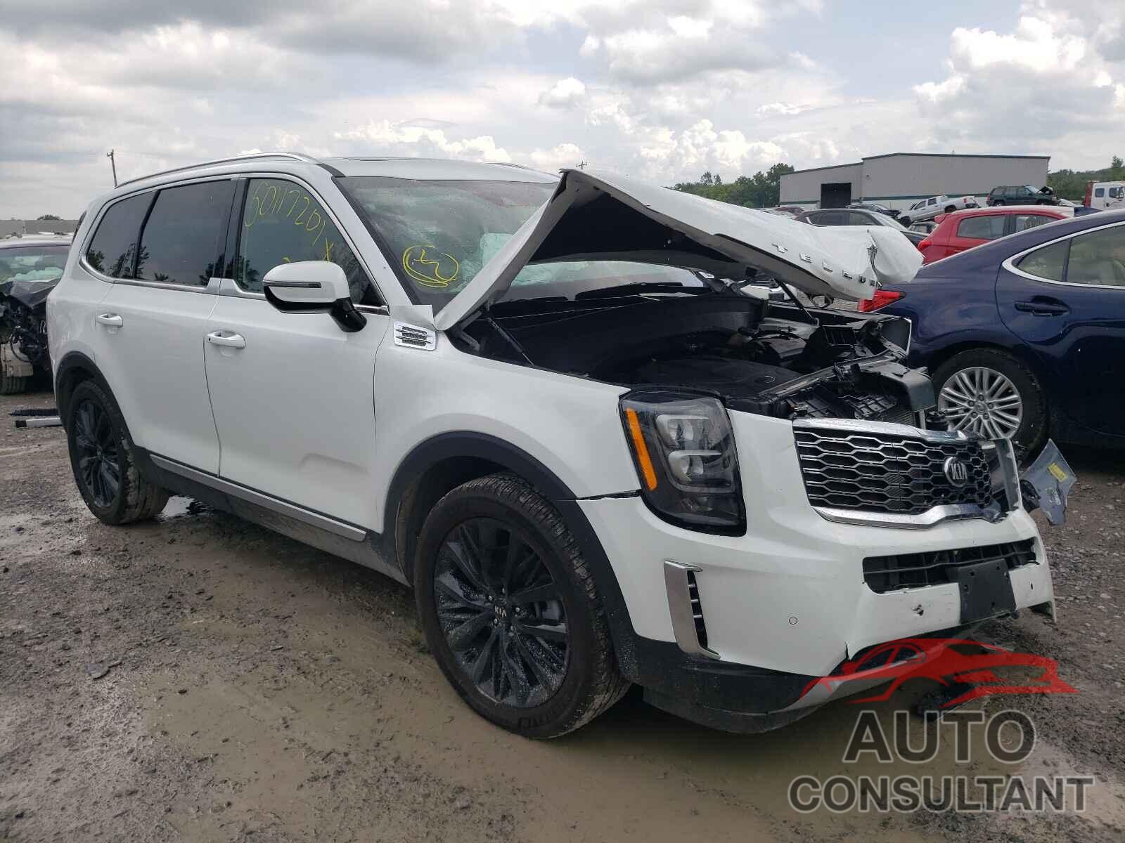 KIA TELLURIDE 2020 - 5XYP5DHC7LG032416