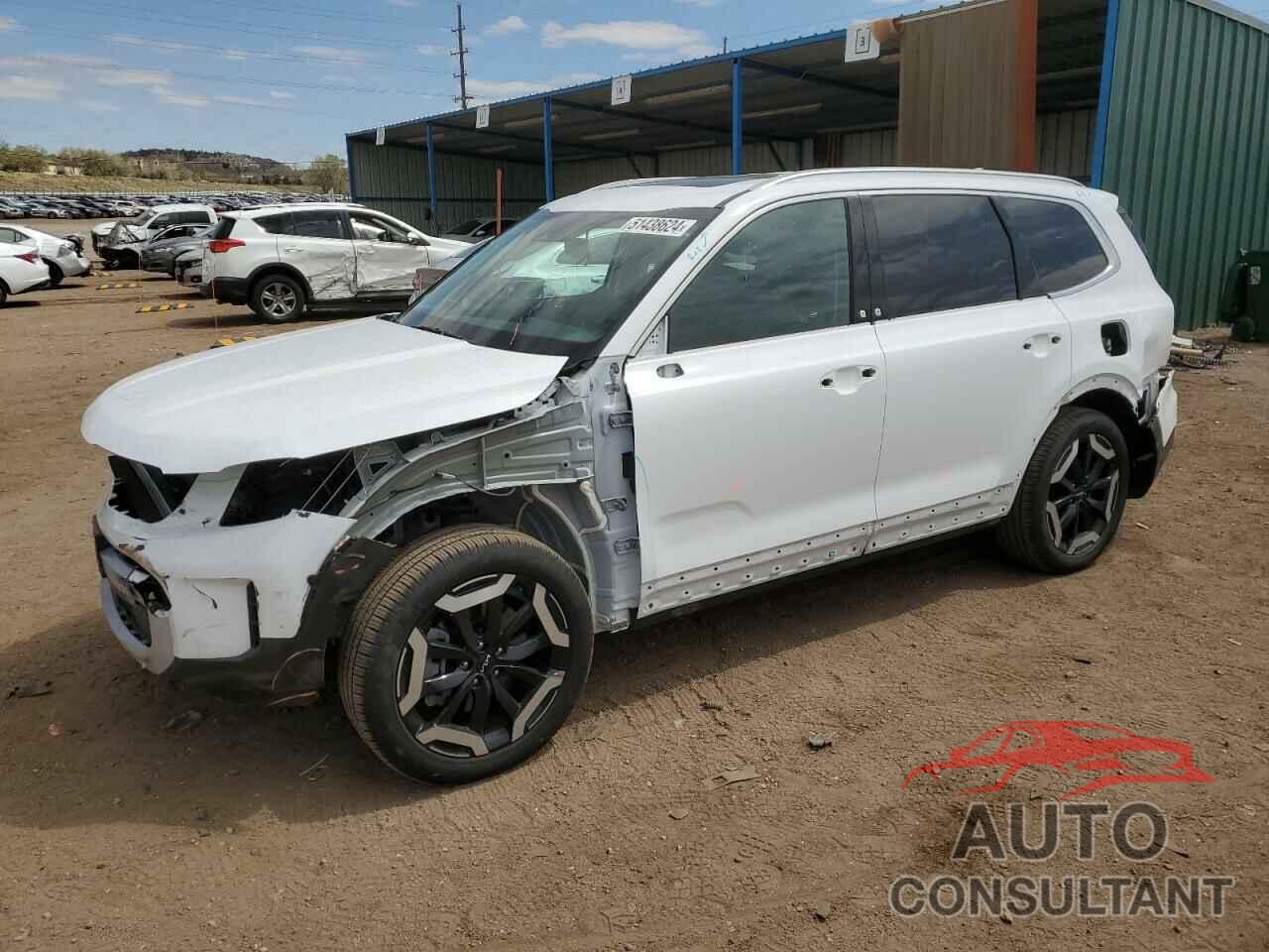 KIA TELLURIDE 2024 - 5XYP6DGC9RG468868