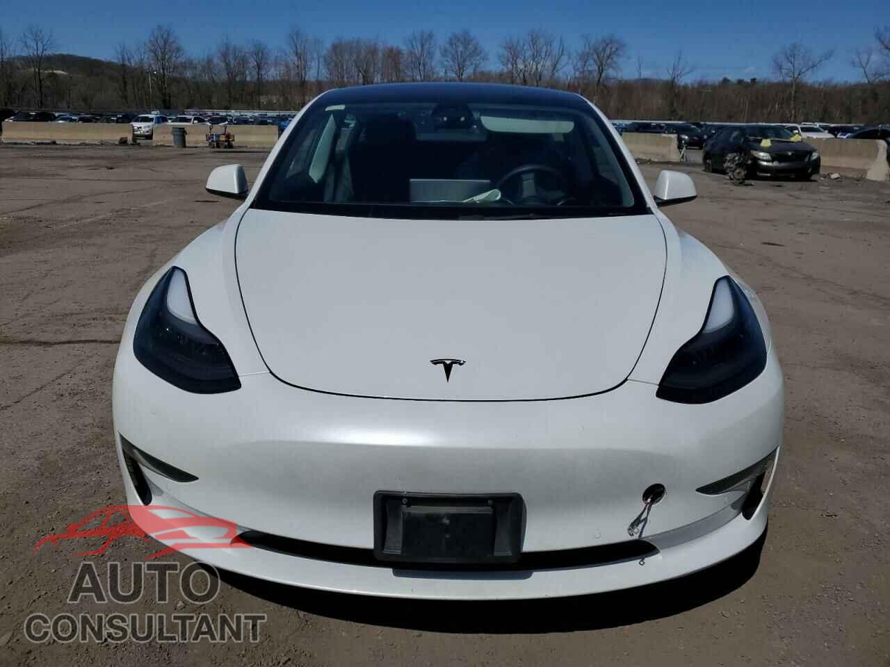 TESLA MODEL 3 2022 - 5YJ3E1EA2NF121501