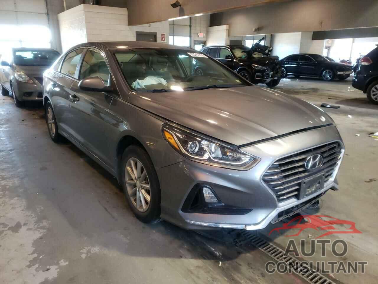 HYUNDAI SONATA 2019 - 5NPE24AF8KH734112