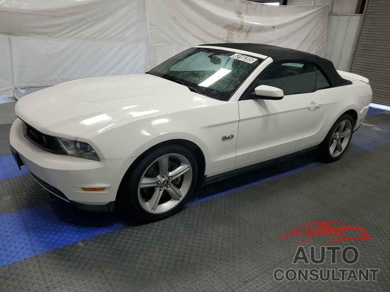 FORD MUSTANG 2011 - 1ZVBP8FF4B5155281