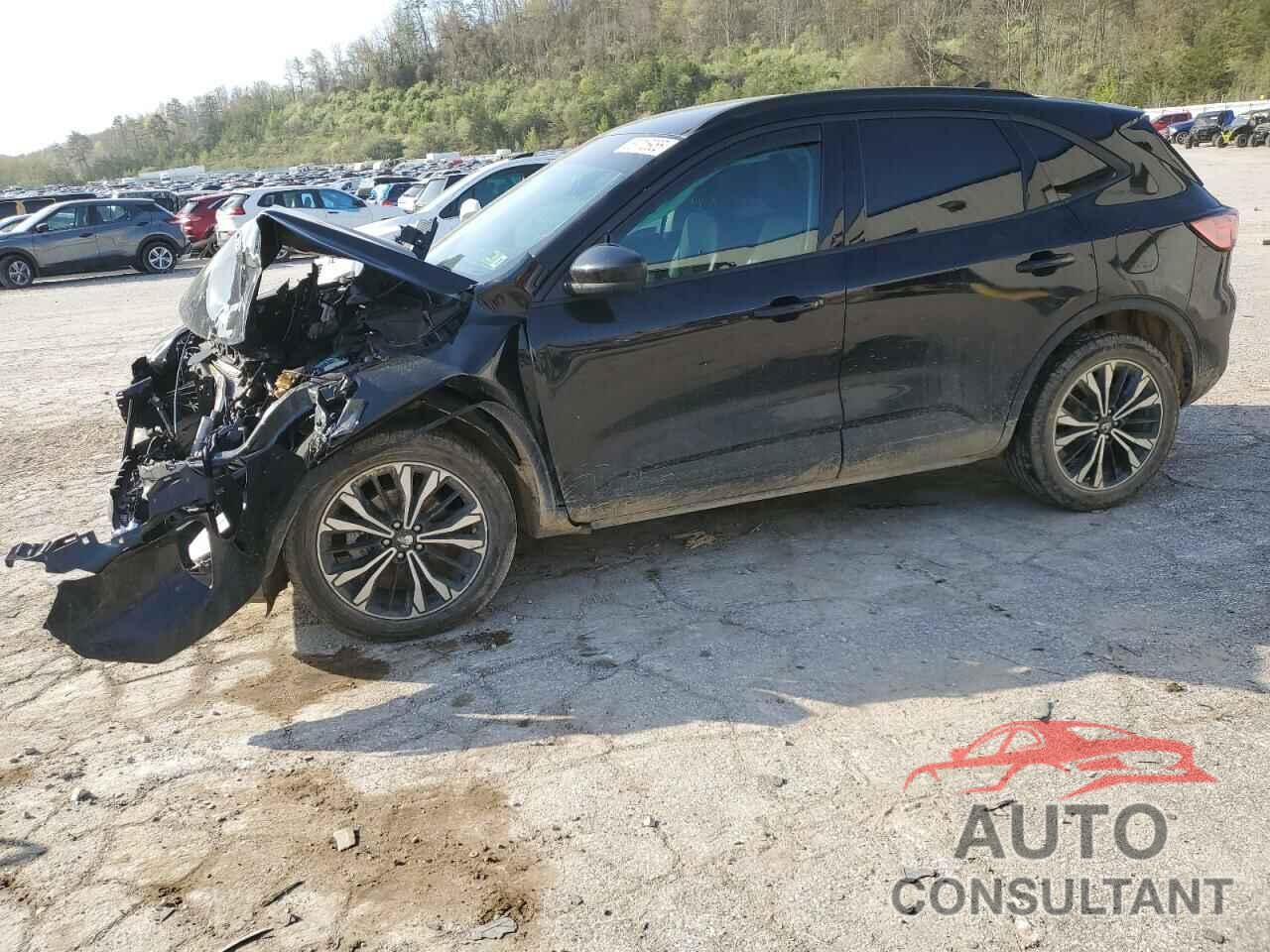 FORD ESCAPE 2022 - 1FMCU9H91NUA26143