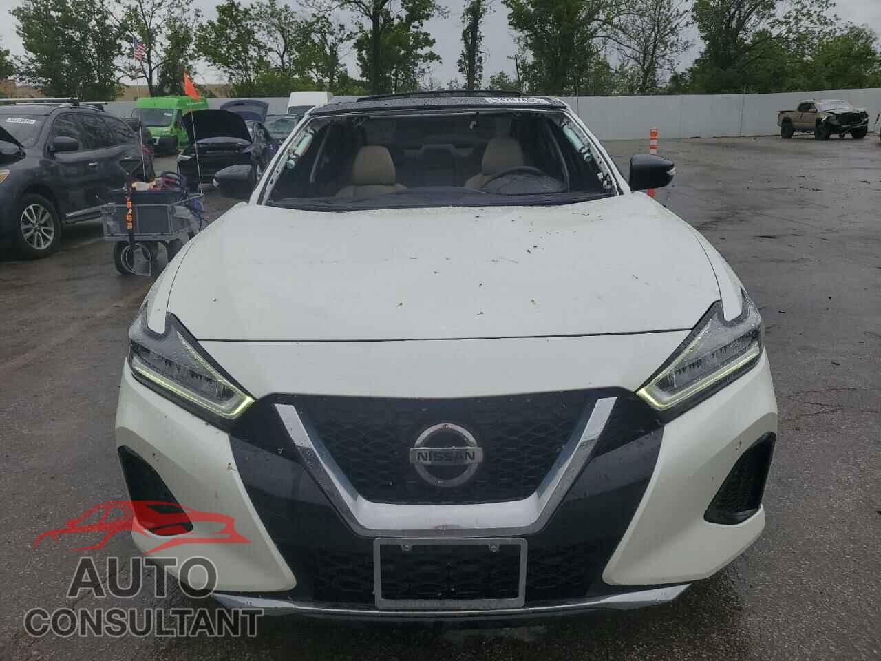 NISSAN MAXIMA 2019 - 1N4AA6AV0KC371116