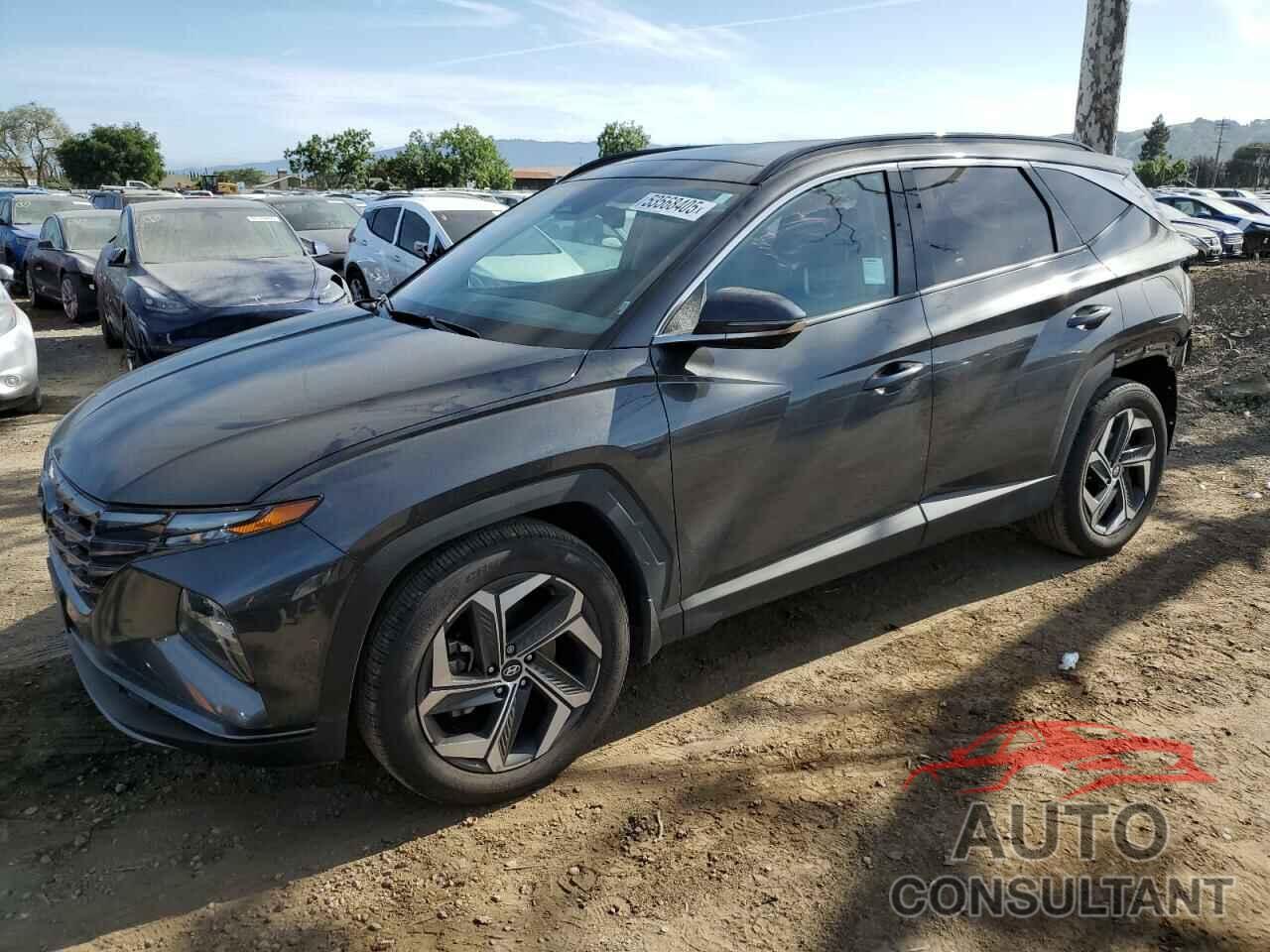 HYUNDAI TUCSON 2023 - 5NMJE3AE0PH251967