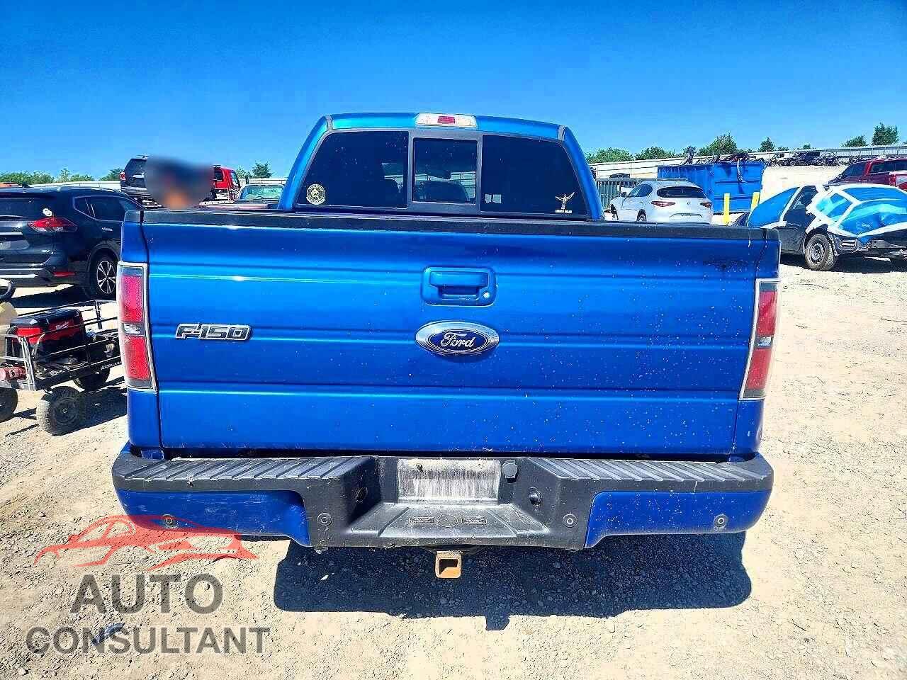 FORD F-150 2013 - 1FTFW1ET8DKG11020