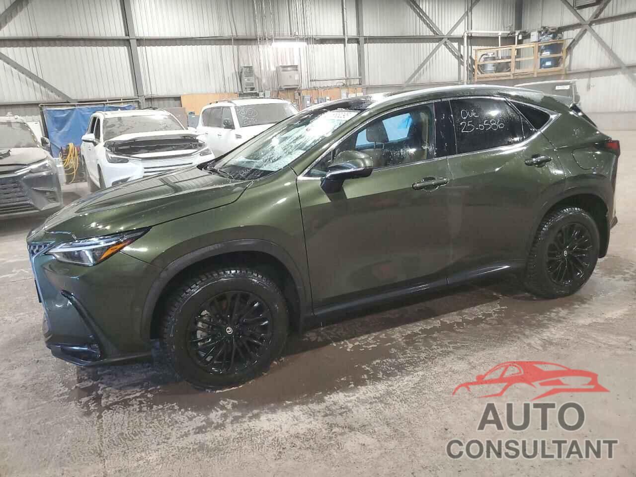 LEXUS NX 350H BA 2024 - 2T2GKCEZ8RC031254