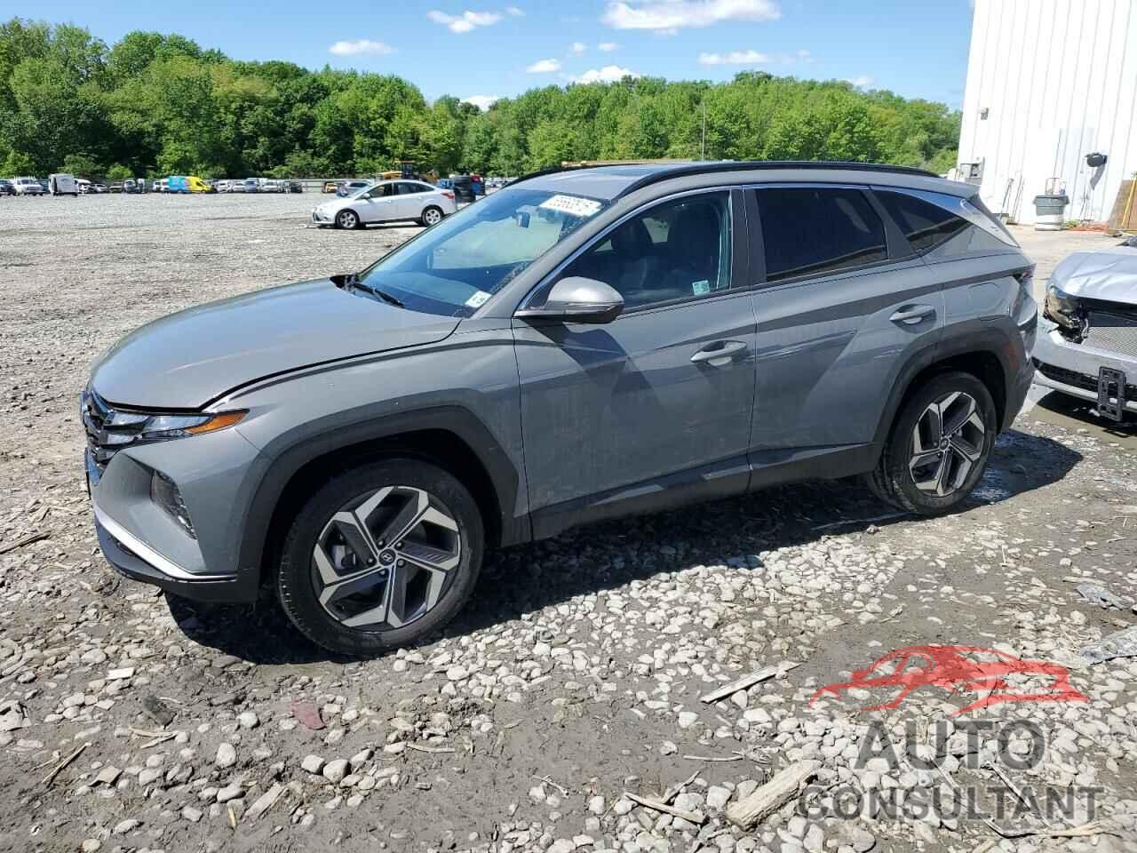 HYUNDAI TUCSON 2024 - 5NMJFCDE0RH399631