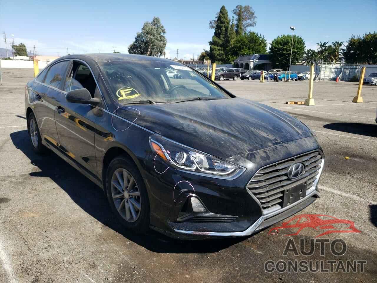 HYUNDAI SONATA 2019 - 5NPE24AF2KH782611