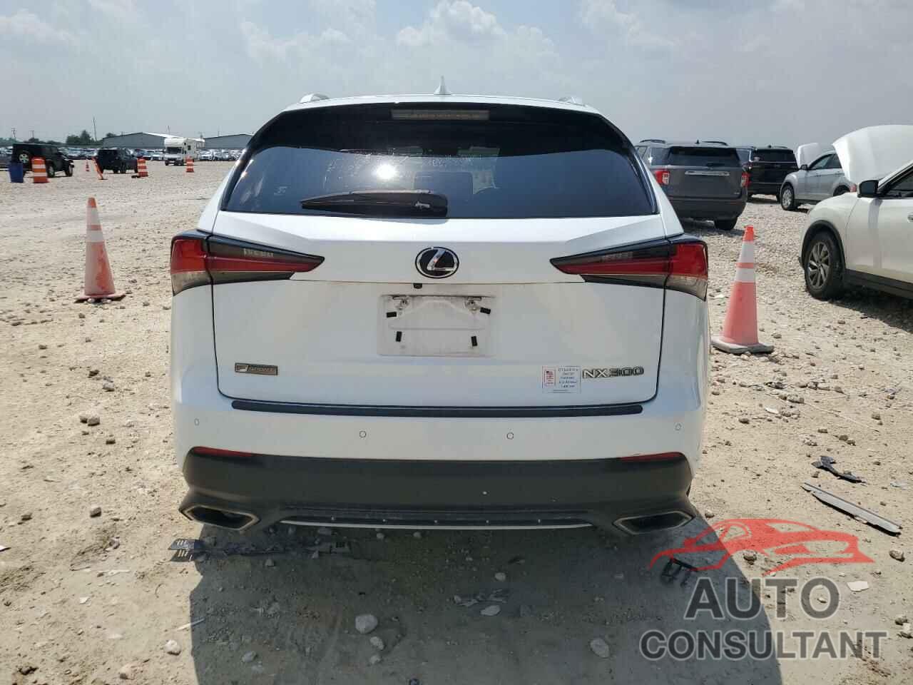 LEXUS NX 2019 - JTJYARBZ0K2133801