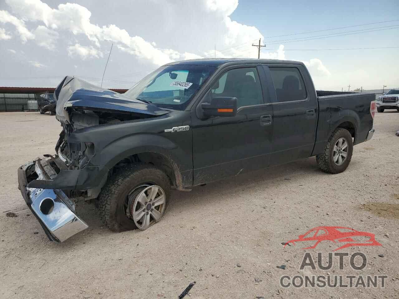 FORD F-150 2013 - 1FTEW1CM1DFB84408