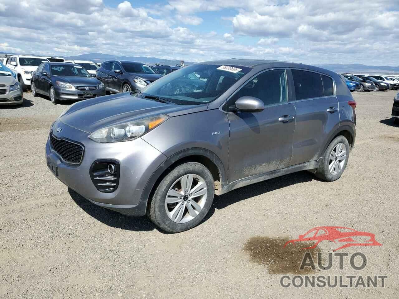 KIA SPORTAGE 2017 - KNDPMCAC6H7230206