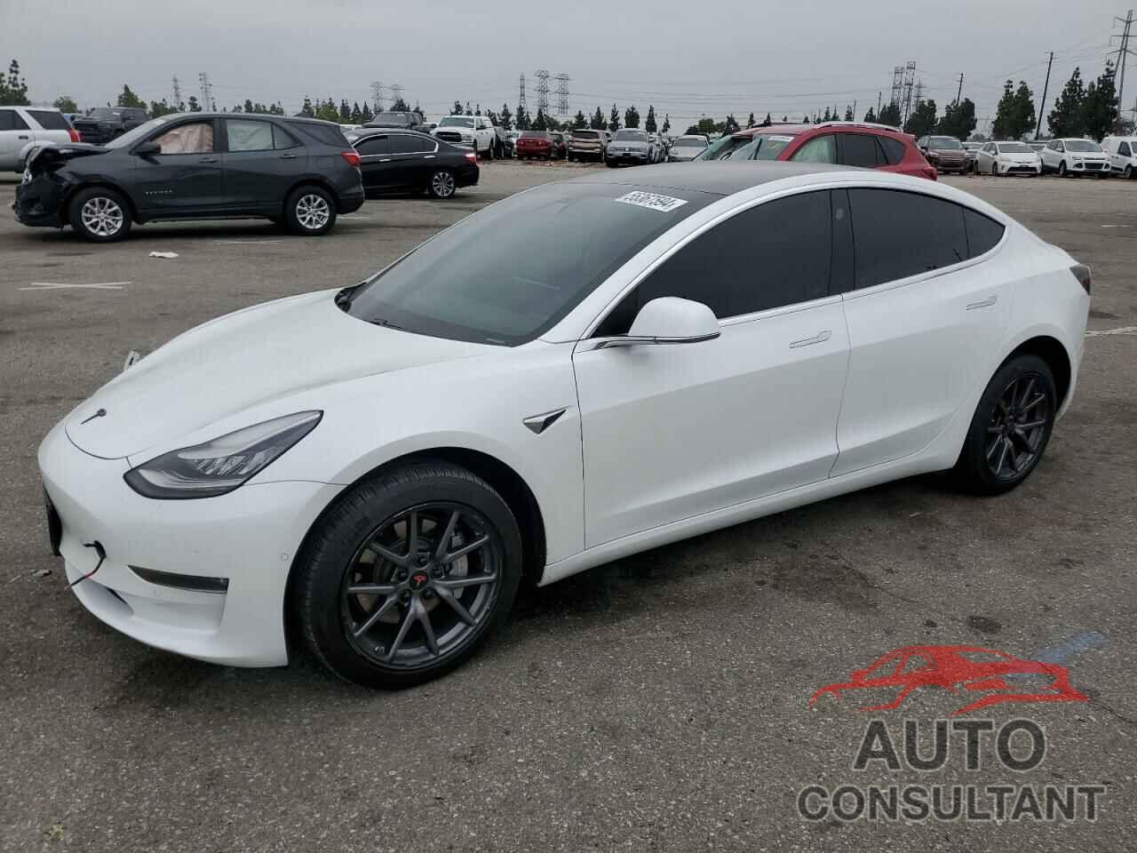 TESLA MODEL 3 2019 - 5YJ3E1EA0KF401381