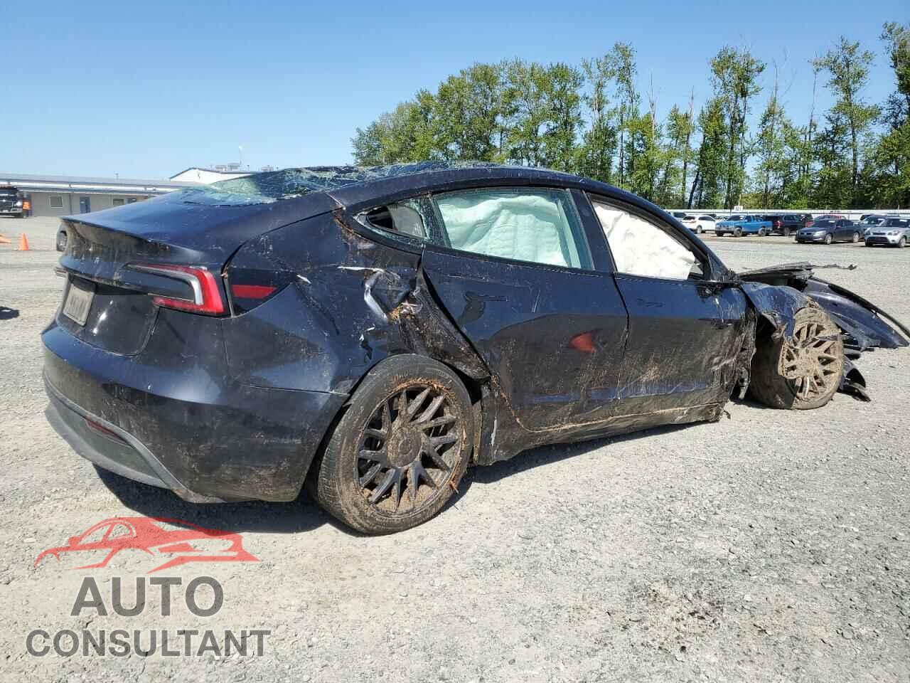 TESLA MODEL 3 2024 - 5YJ3E1EA0RF724968