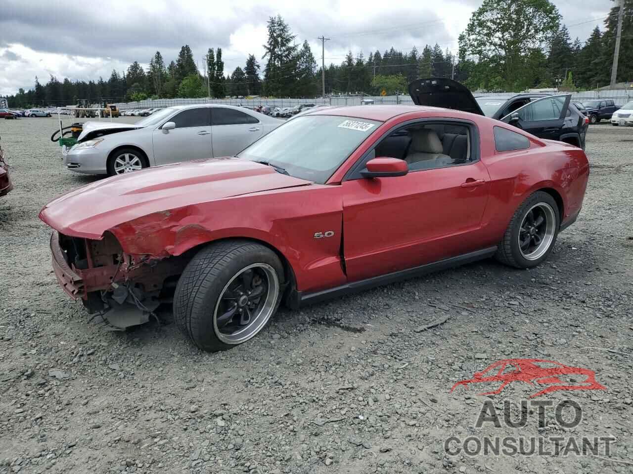 FORD MUSTANG 2011 - 1ZVBP8CF3B5109624