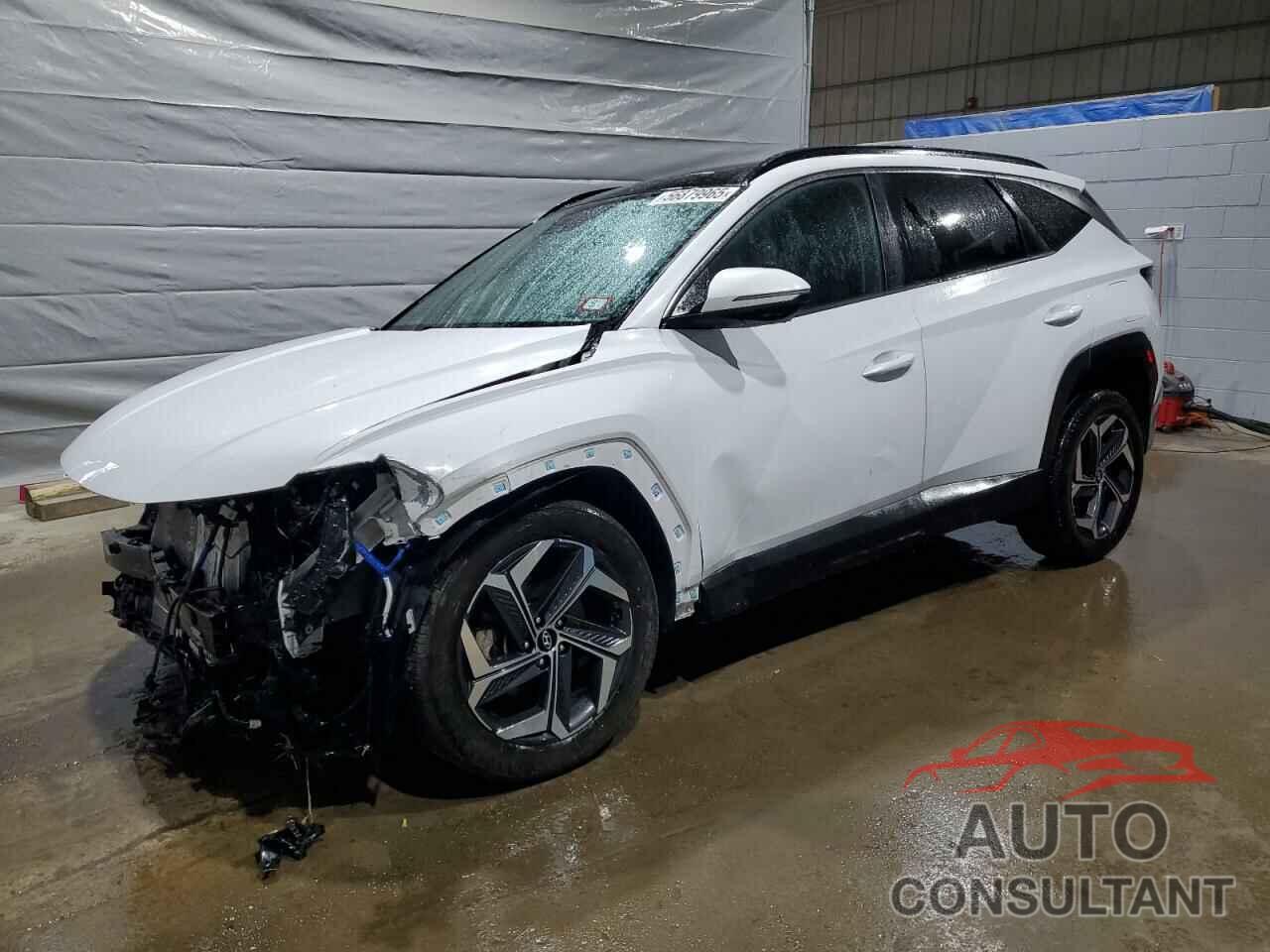 HYUNDAI TUCSON 2023 - KM8JFCA10PU095248