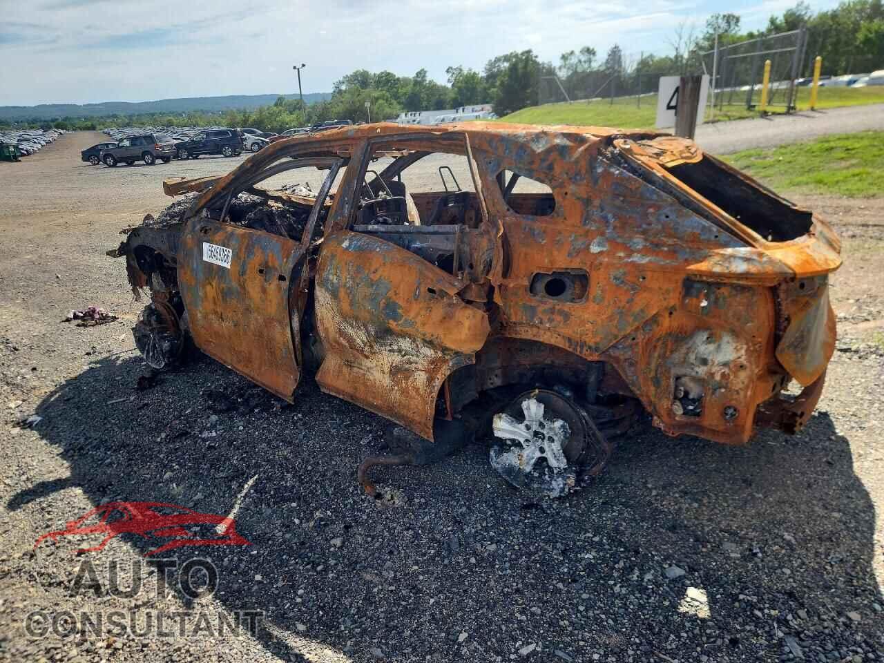 LEXUS RX300 2025 - 2T2BBMCA8SC097743
