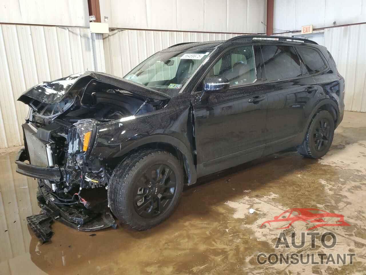 KIA TELLURIDE 2024 - 5XYP5DGC1RG498689