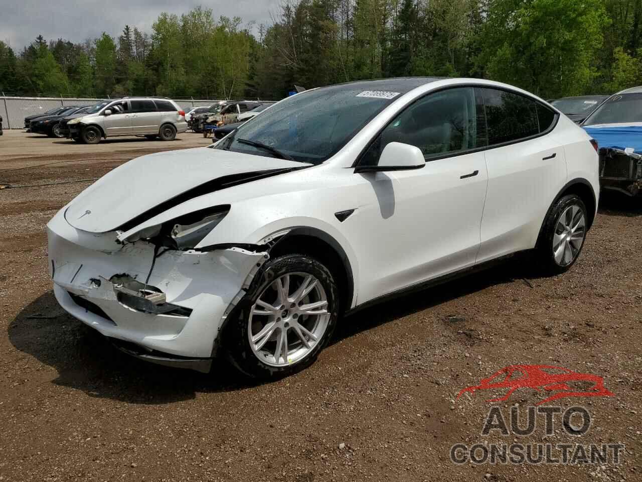 TESLA MODEL Y 2023 - LRWYGDEE5PC266209