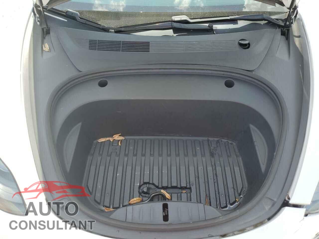TESLA MODEL 3 2021 - 5YJ3E1EA1MF064335