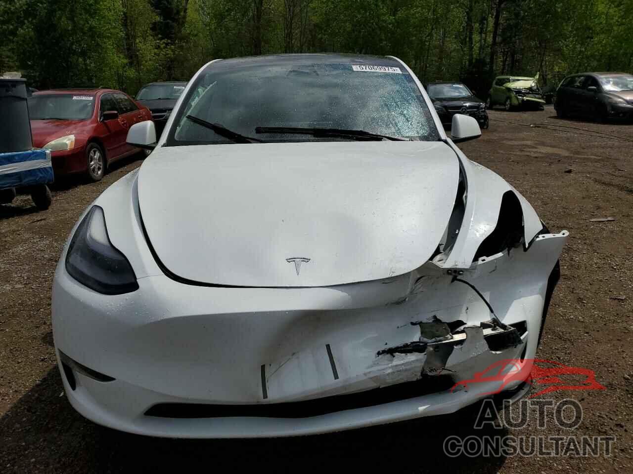 TESLA MODEL Y 2023 - LRWYGDEE5PC266209