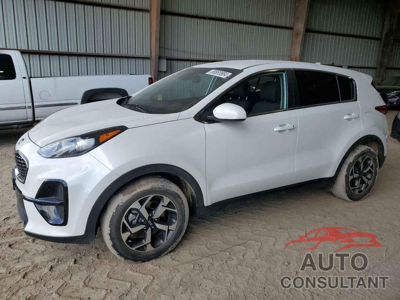 KIA SPORTAGE 2022 - KNDPM3AC5N7957817