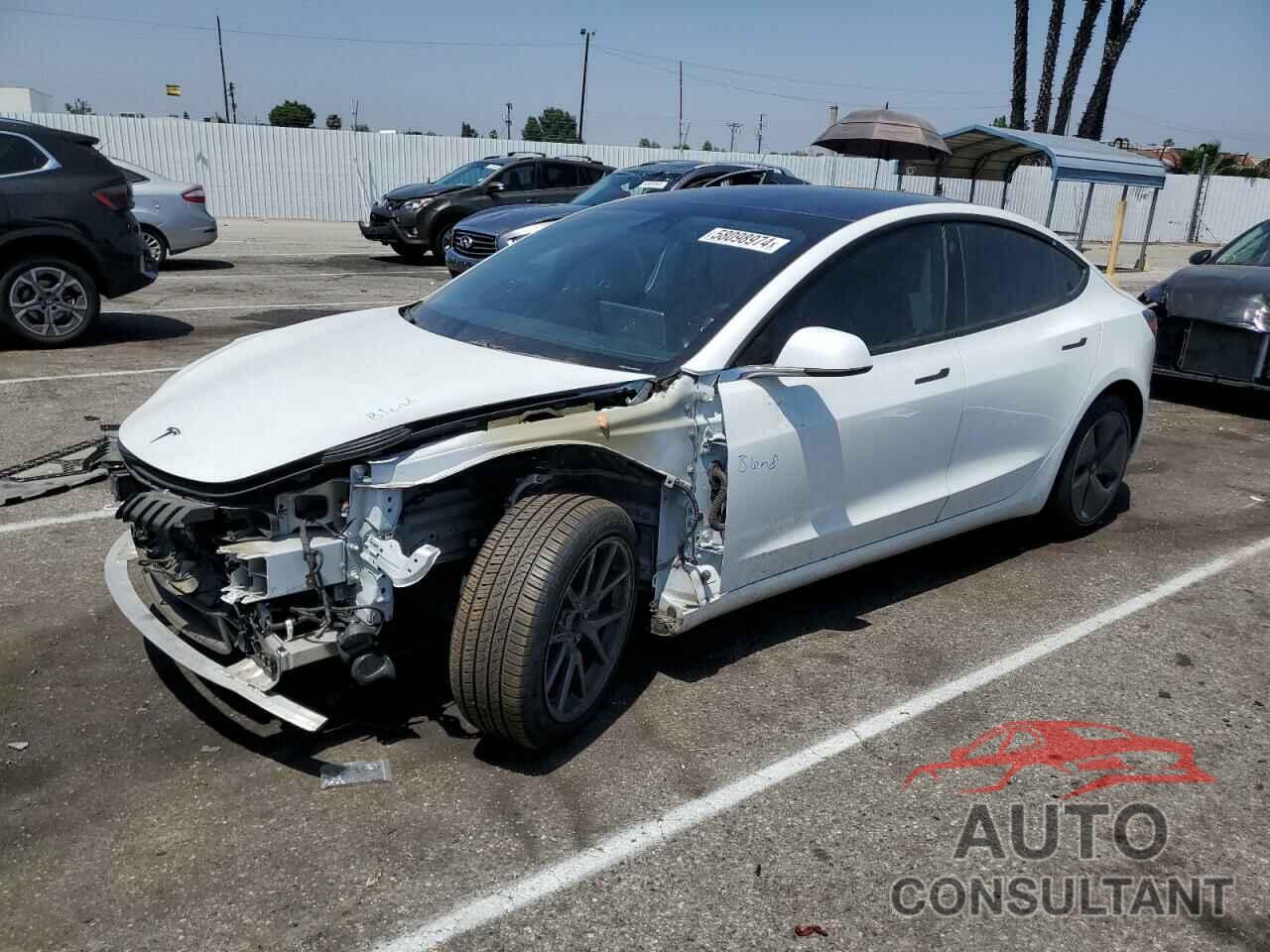 TESLA MODEL 3 2019 - 5YJ3E1EA3KF485003