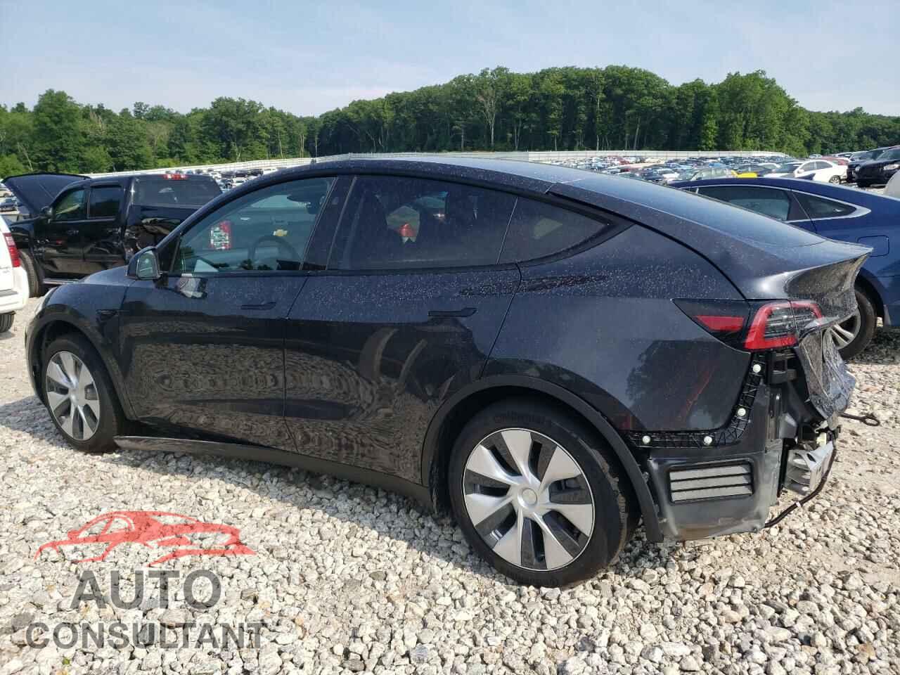 TESLA MODEL Y 2024 - 7SAYGDEE8RF037809
