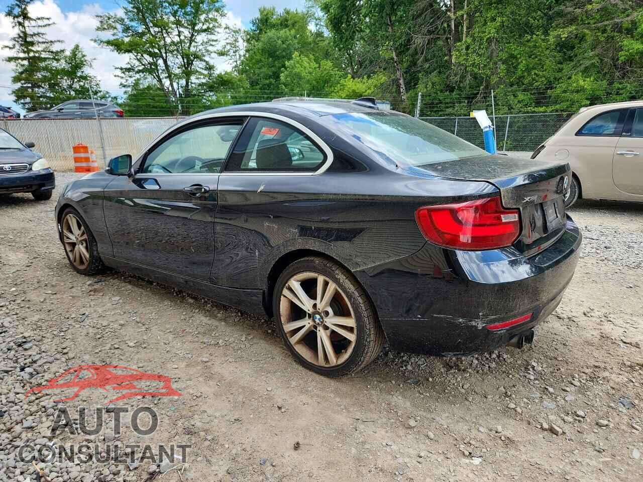 BMW 2 SERIES 2015 - WBA1F7C53FVX96237