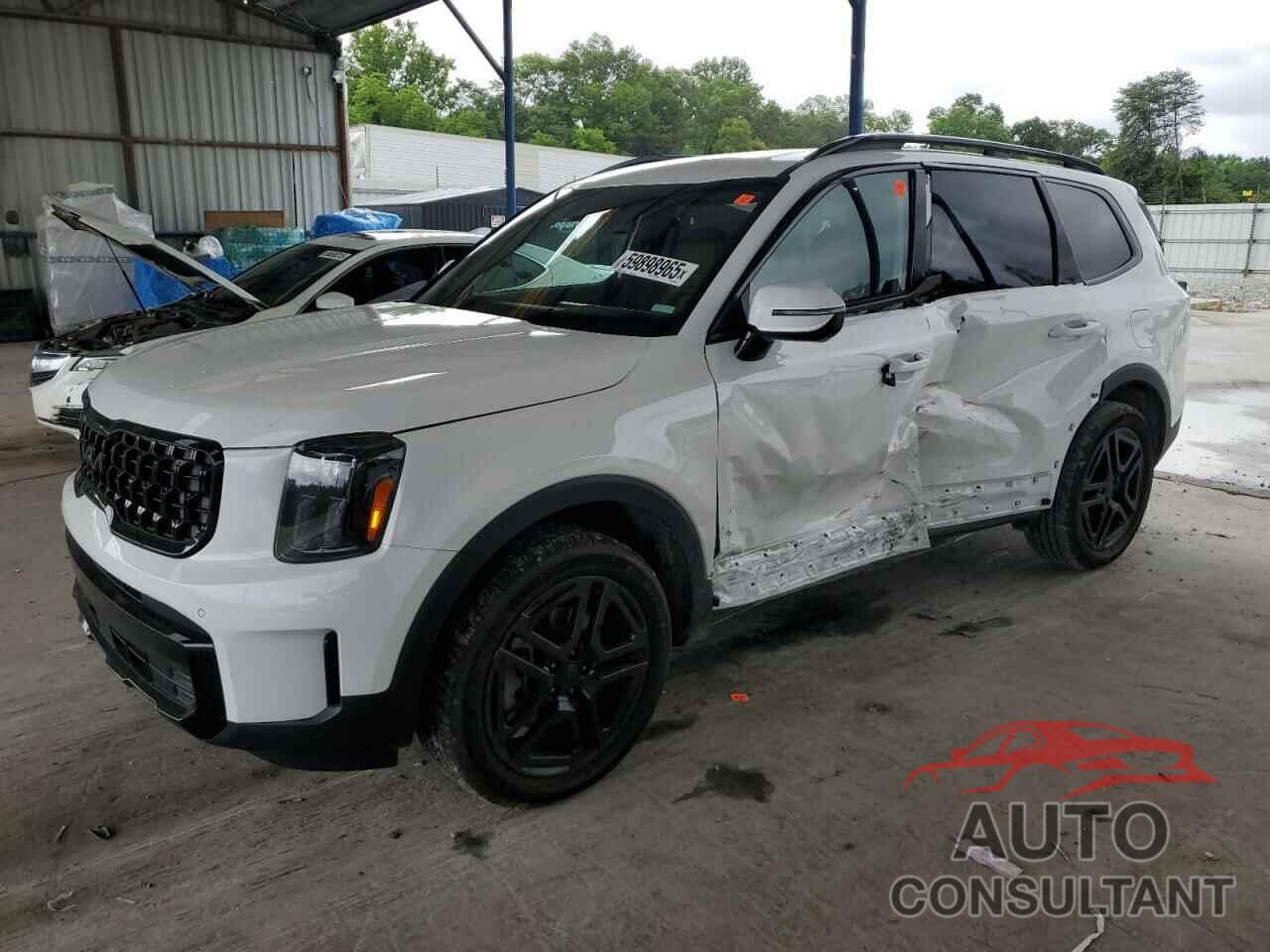 KIA TELLURIDE 2025 - 5XYP5DGC8SG618588