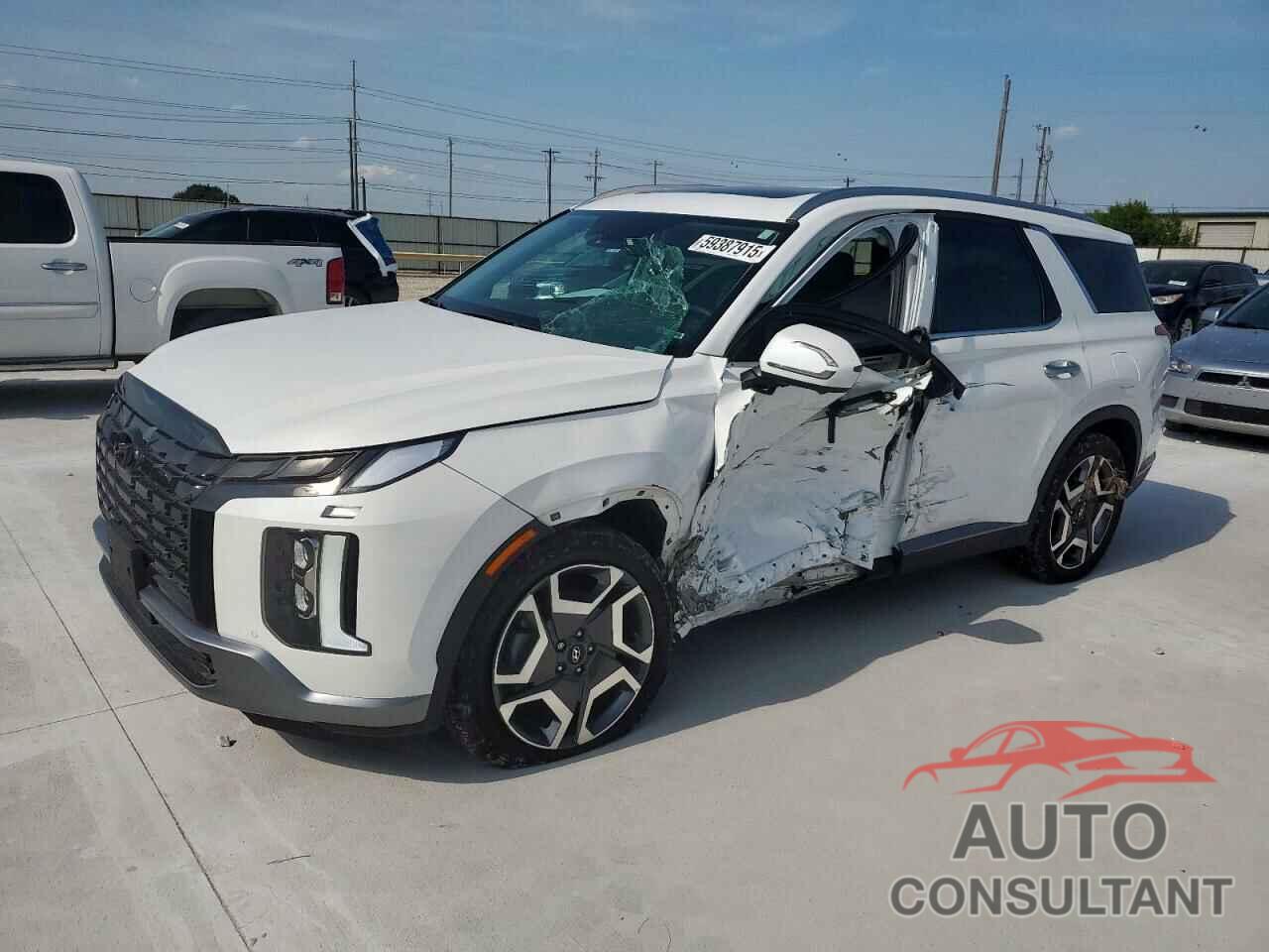HYUNDAI PALISADE 2024 - KM8R44GE4RU753276