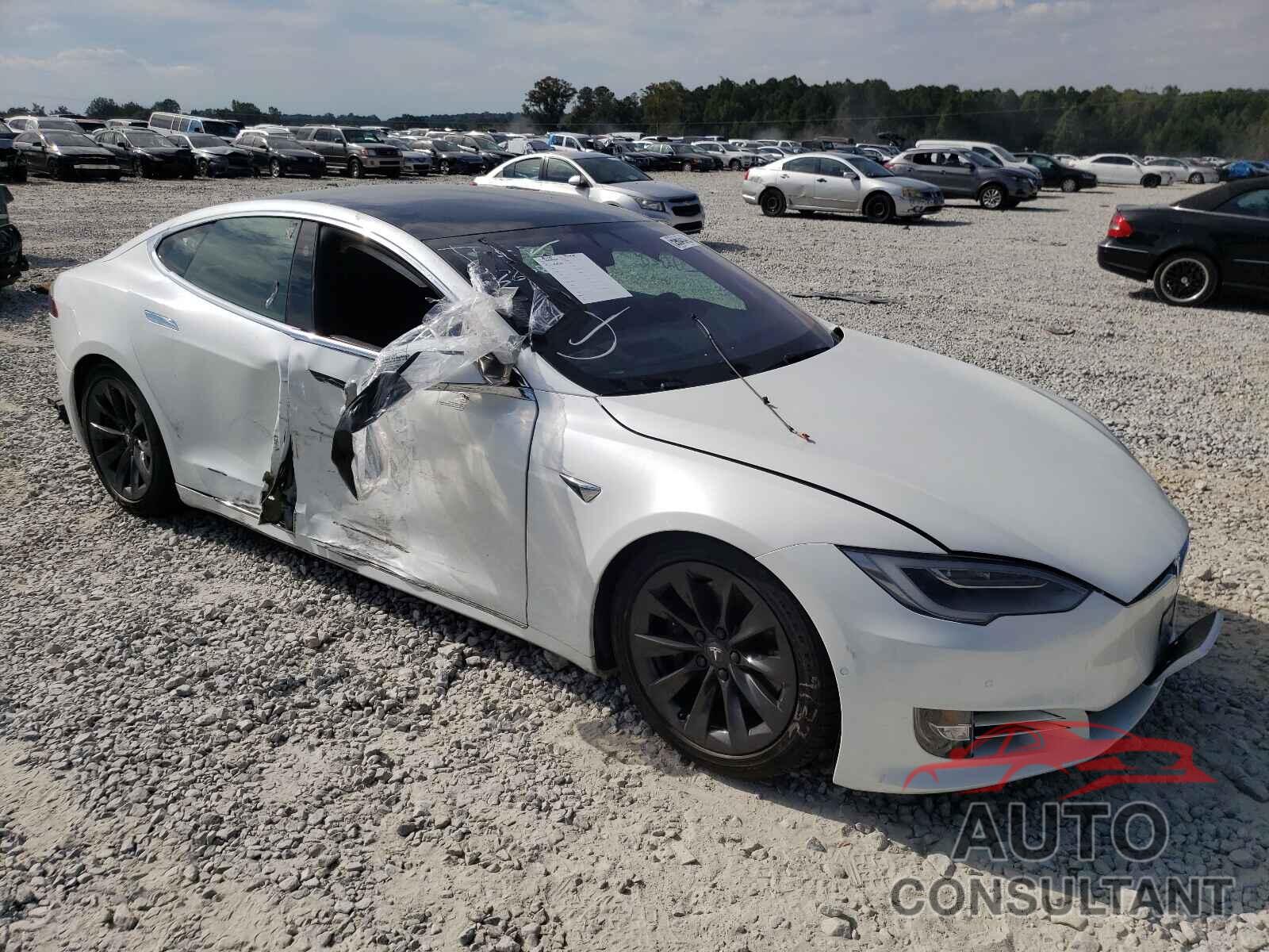 TESLA MODEL S 2019 - 5YJSA1E25KF338939