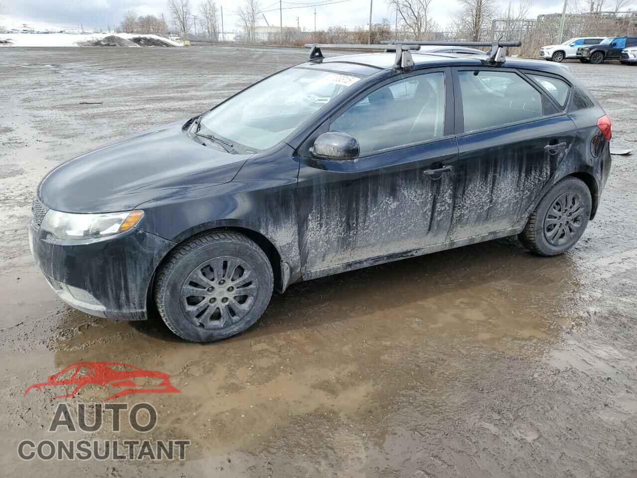 KIA FORTE 2012 - KNAFT5A29C5583431