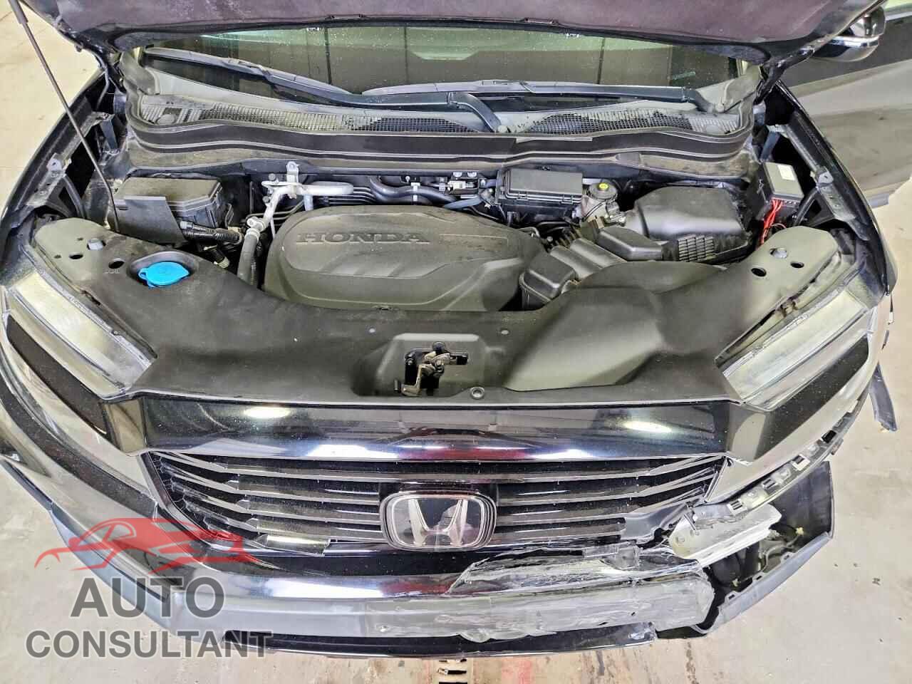 HONDA RIDGELINE 2021 - 5FPYK3F82MB013343
