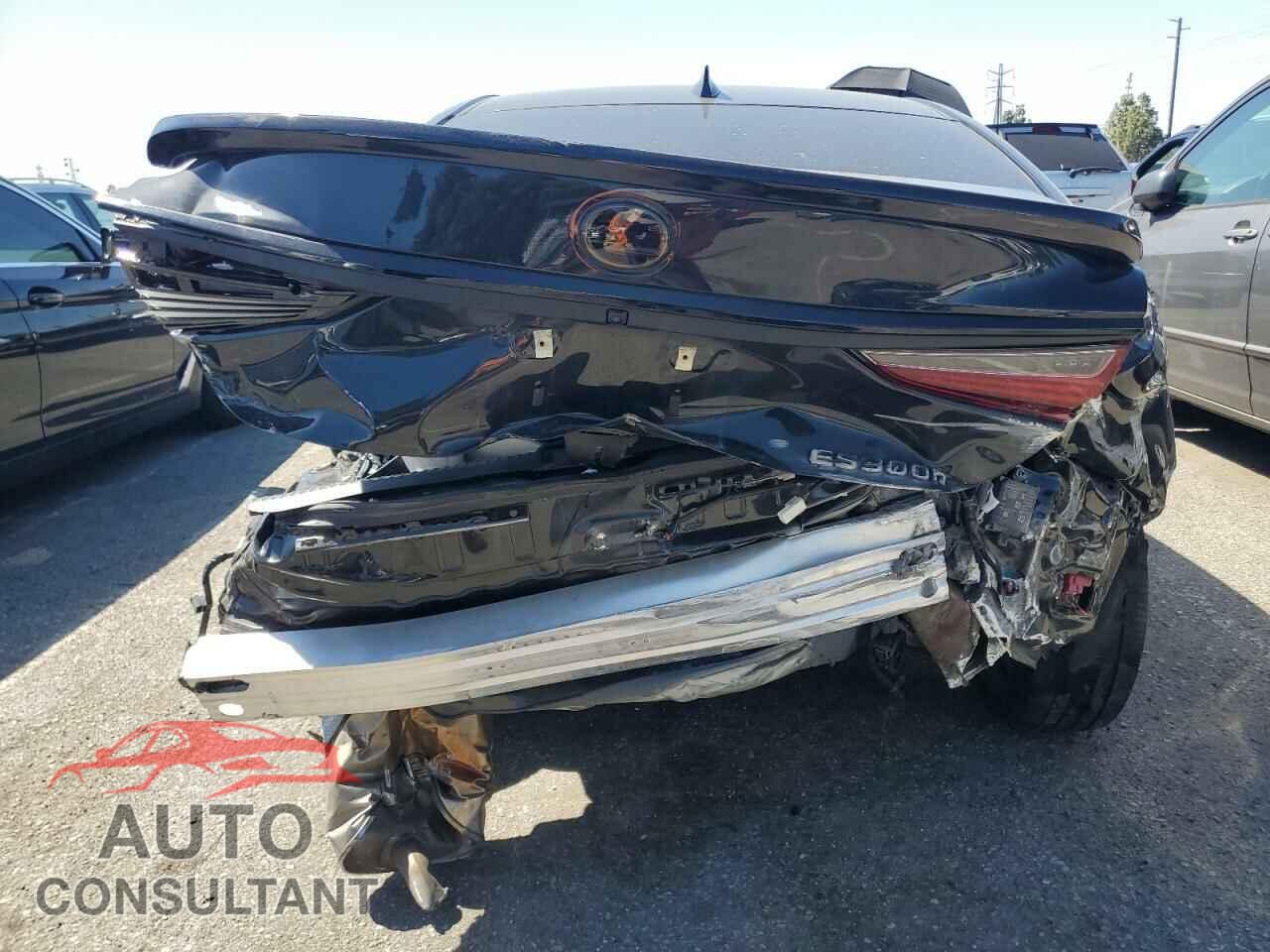 LEXUS ES 300H F- 2023 - 58ABA1C19PU034106
