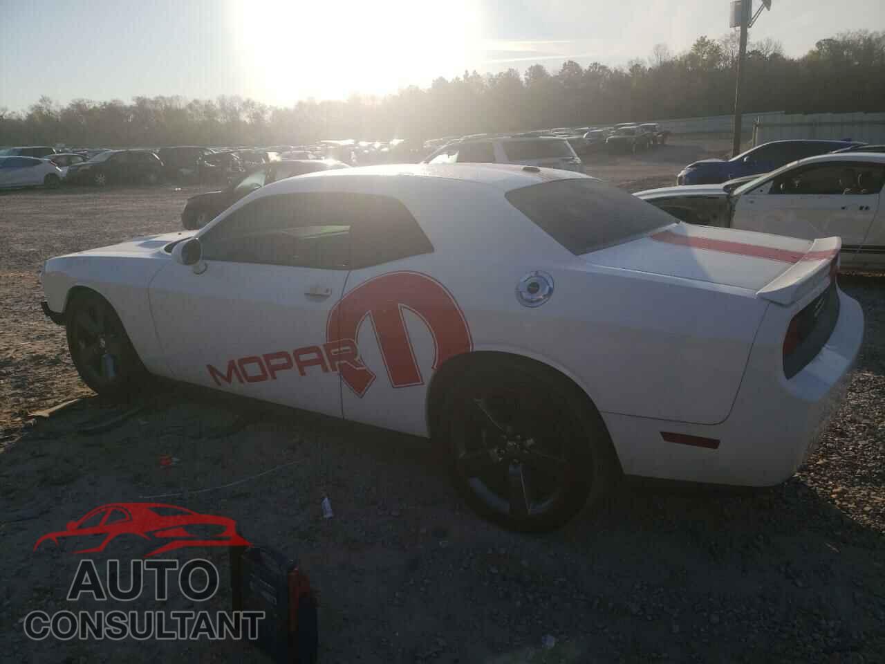 DODGE CHALLENGER 2013 - 2C3CDYAG0DH593604