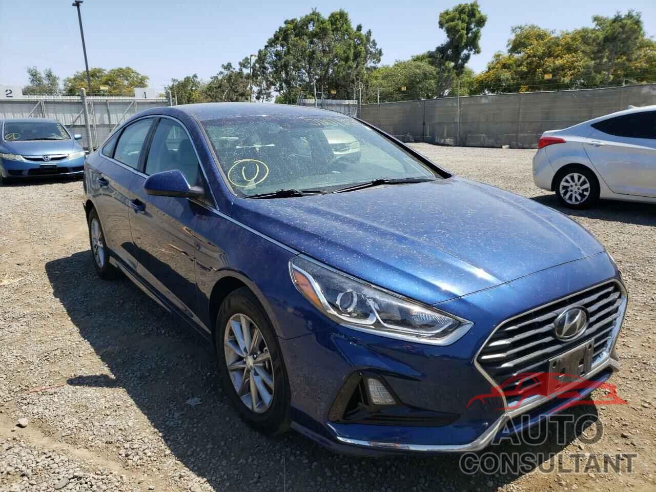 HYUNDAI SONATA 2019 - 5NPE24AF6KH771238