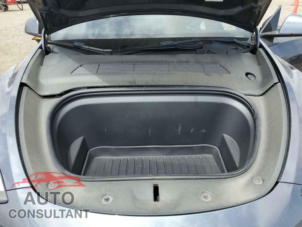 TESLA MODEL Y 2022 - 7SAYGAEE7NF346146
