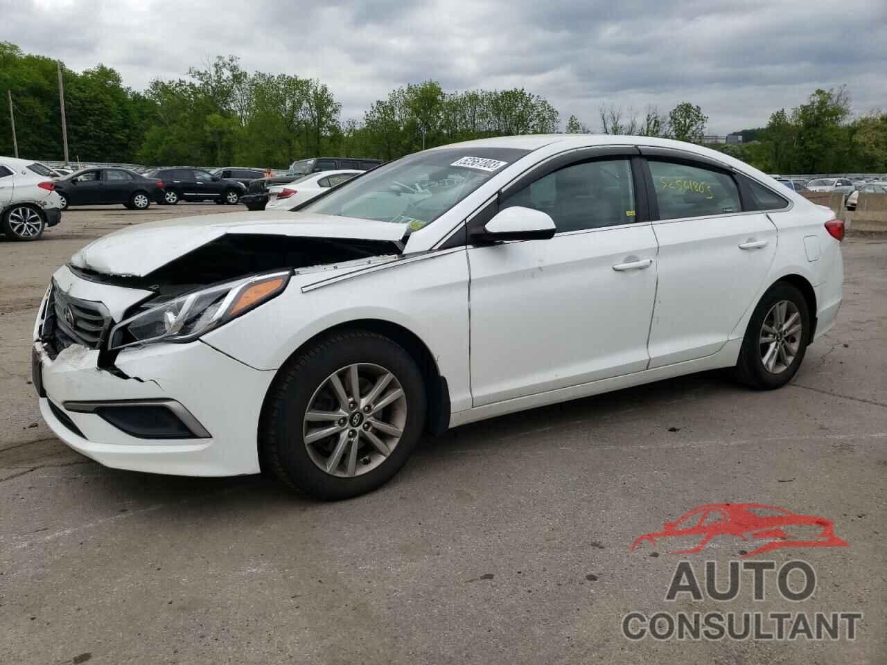 HYUNDAI SONATA 2017 - 5NPE24AF5HH493697