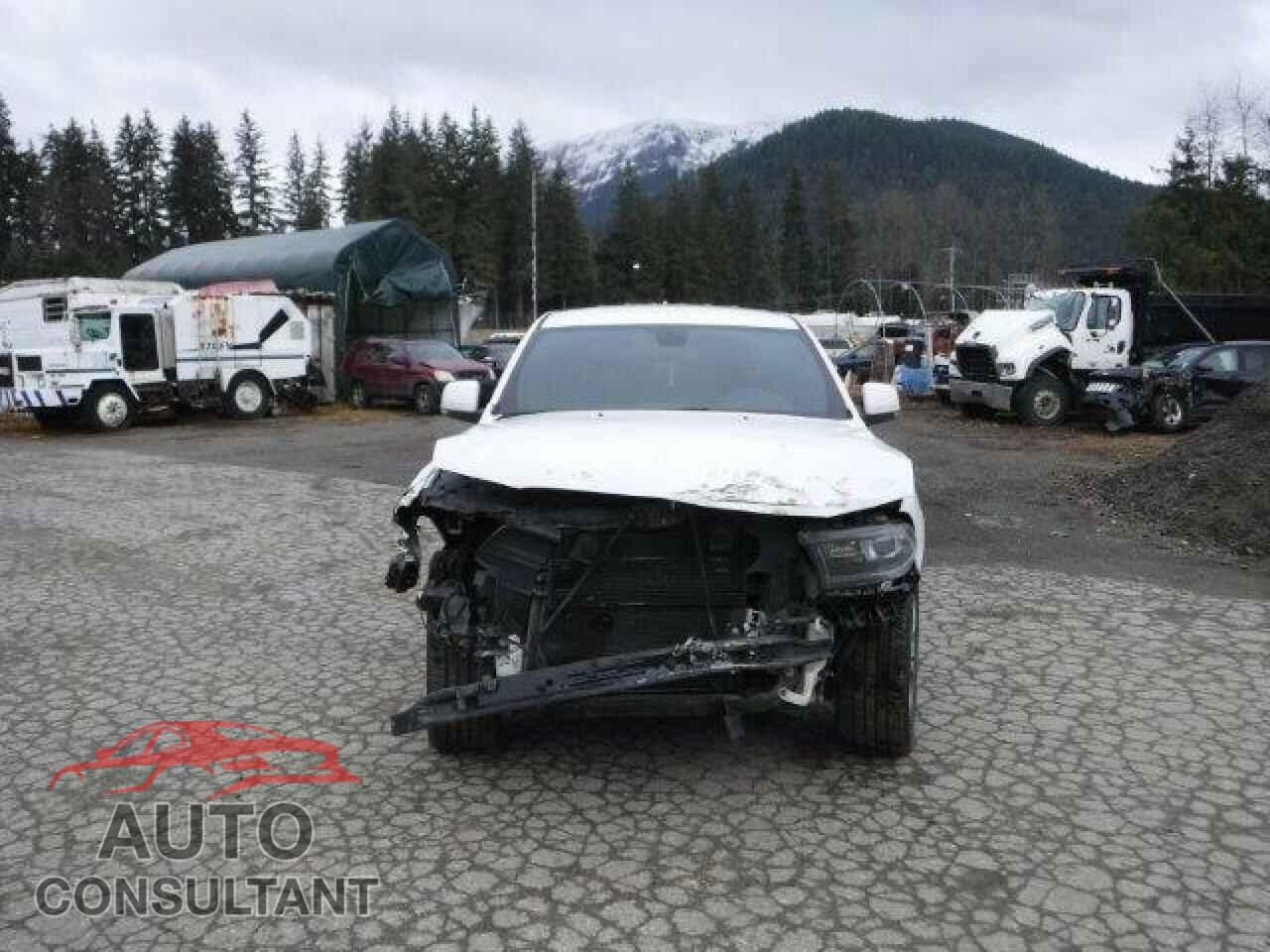 DODGE DURANGO 2020 - 1C4RDJDG3LC260503