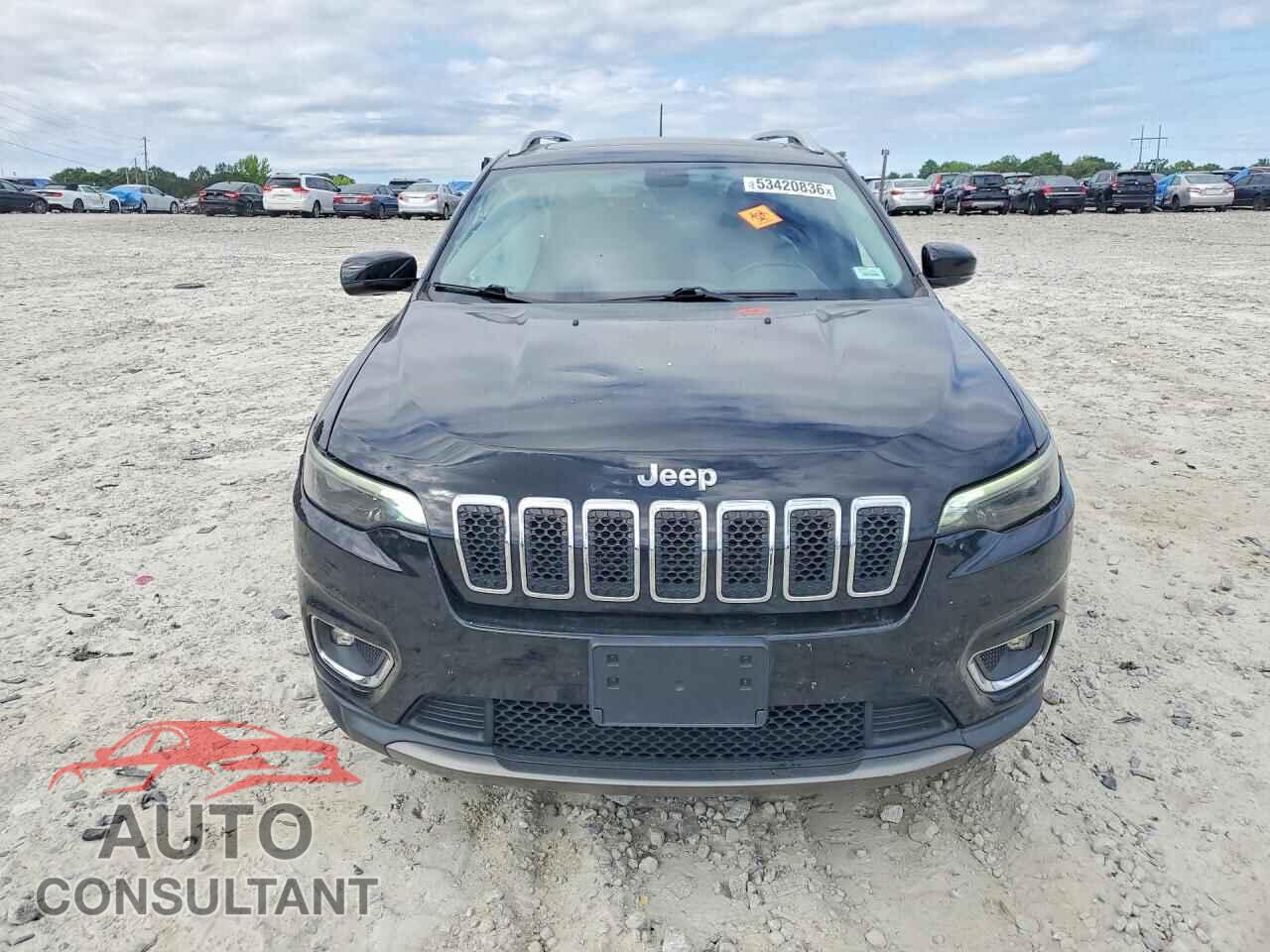 JEEP CHEROKEE 2019 - 1C4PJLDB2KD326421