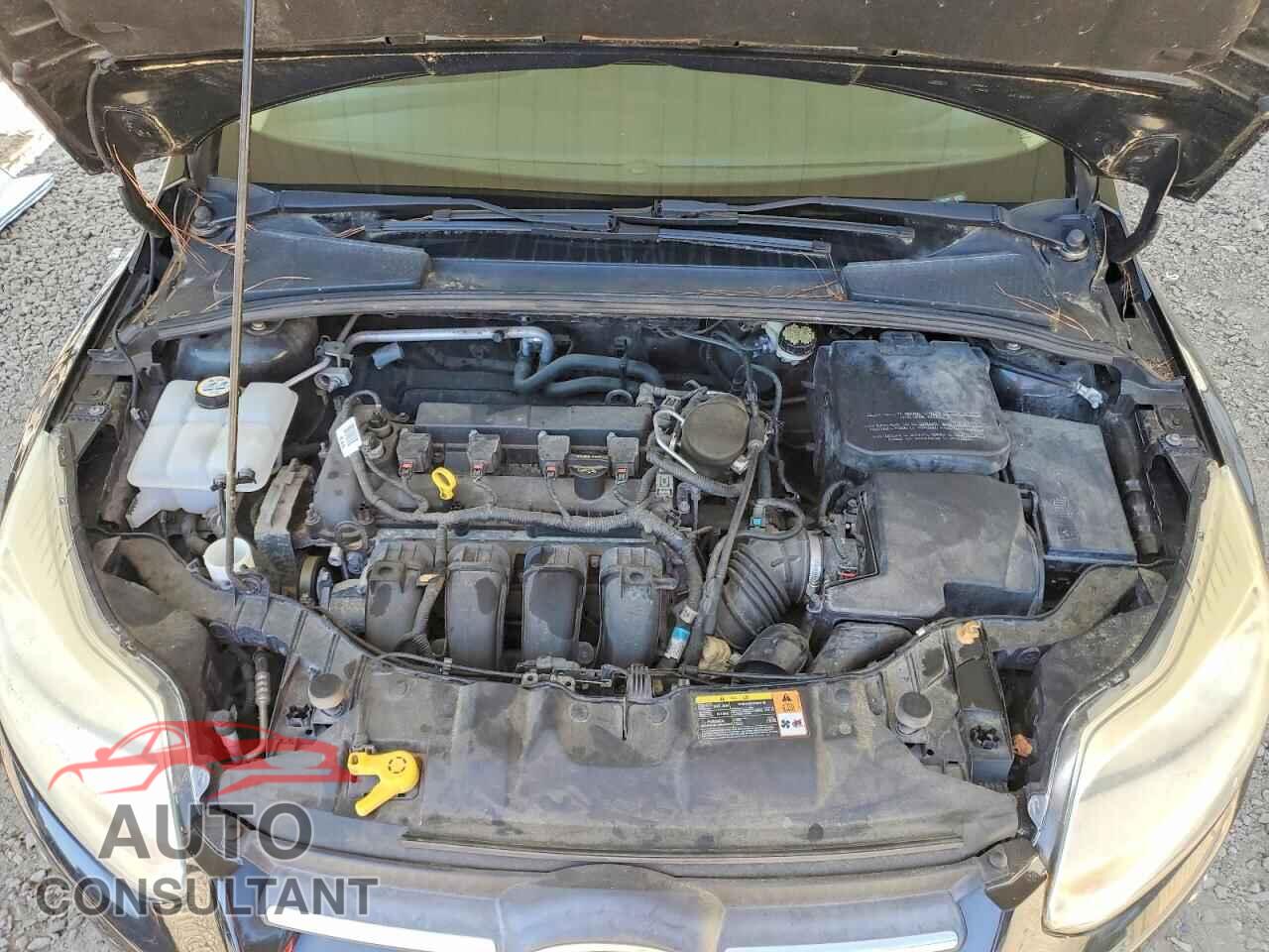 FORD FOCUS 2014 - 1FADP3F29EL230381