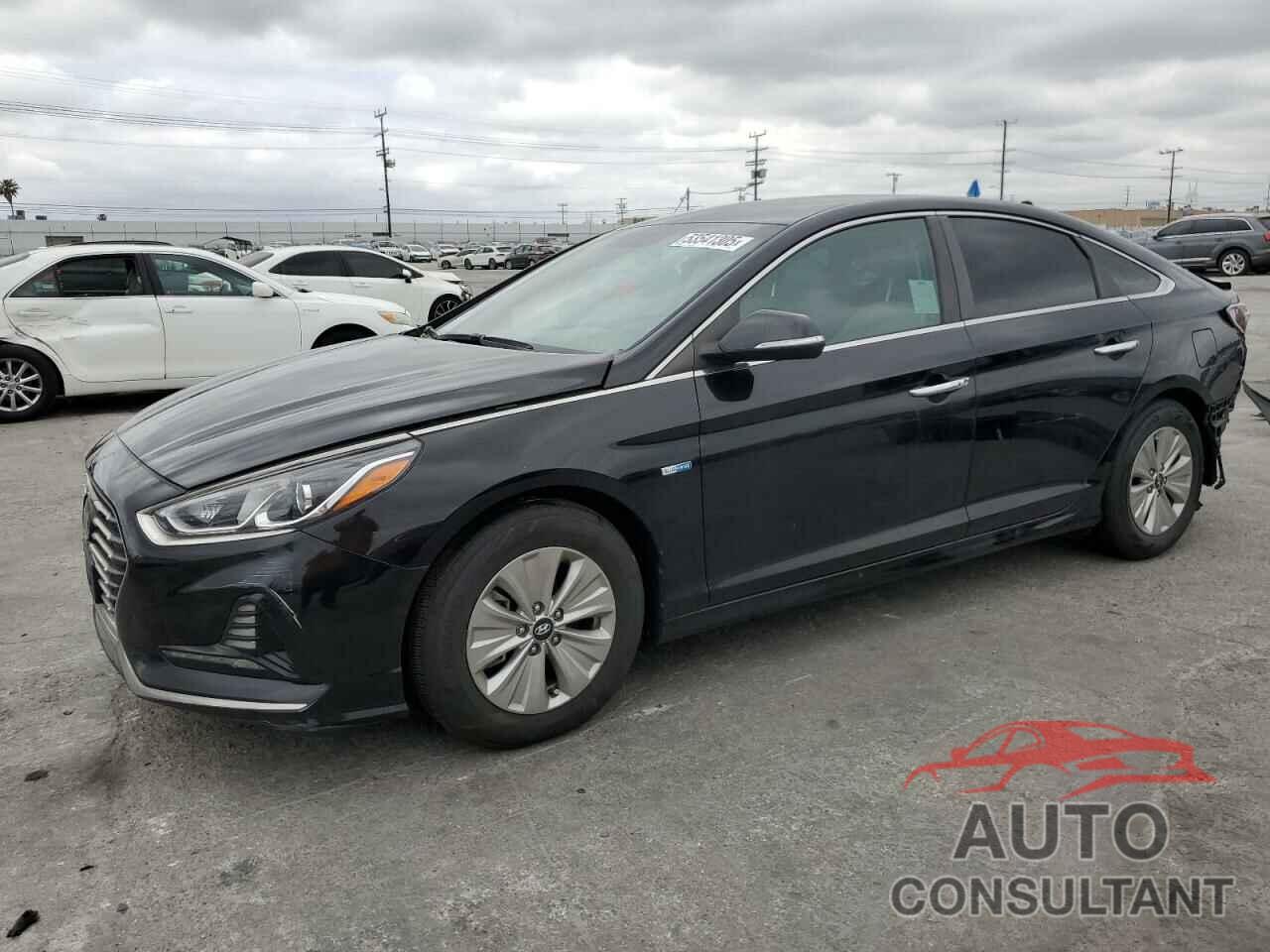 HYUNDAI SONATA 2019 - KMHE24L32KA093920