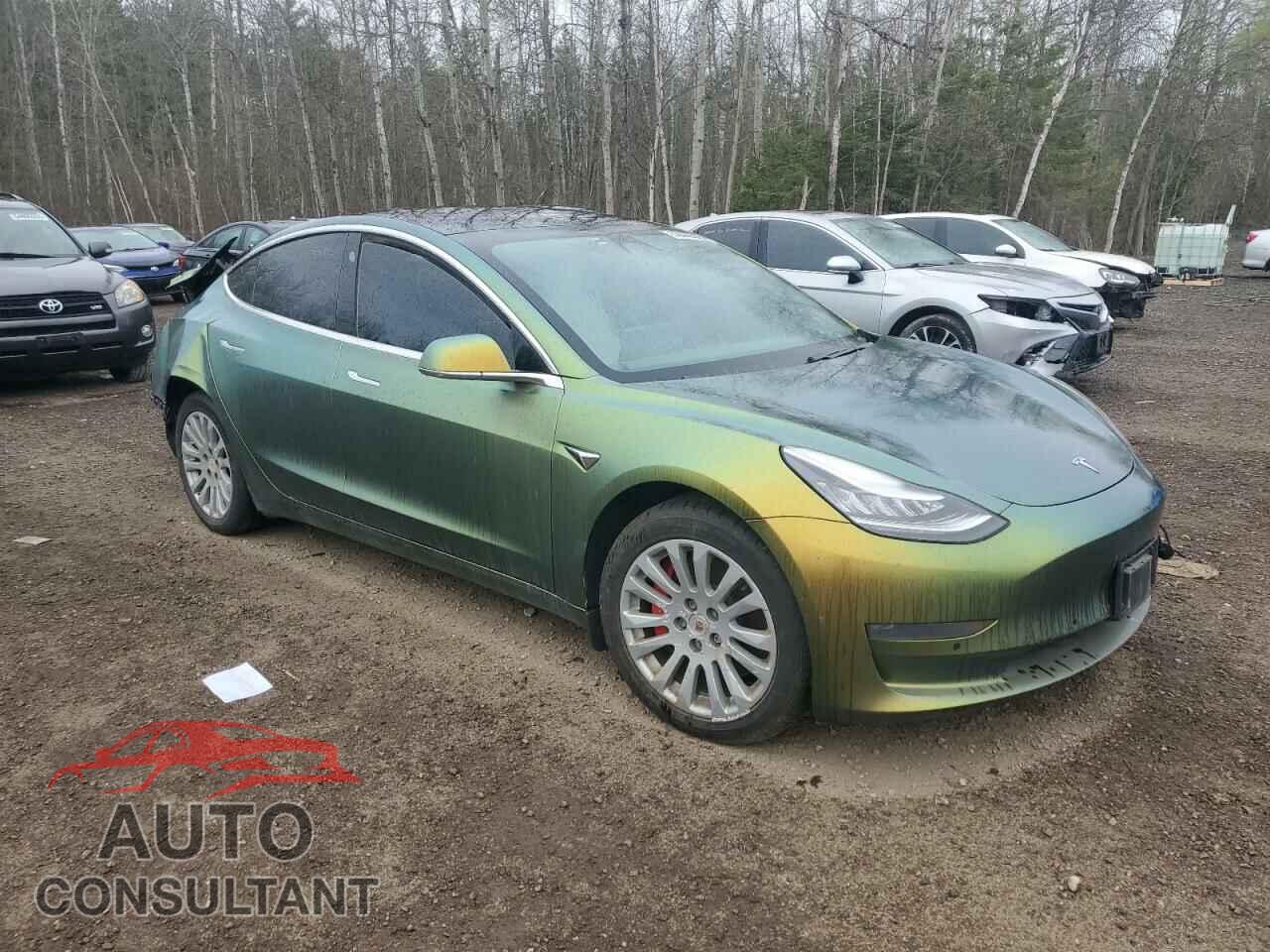 TESLA MODEL 3 2019 - 5YJ3E1EB5KF407329