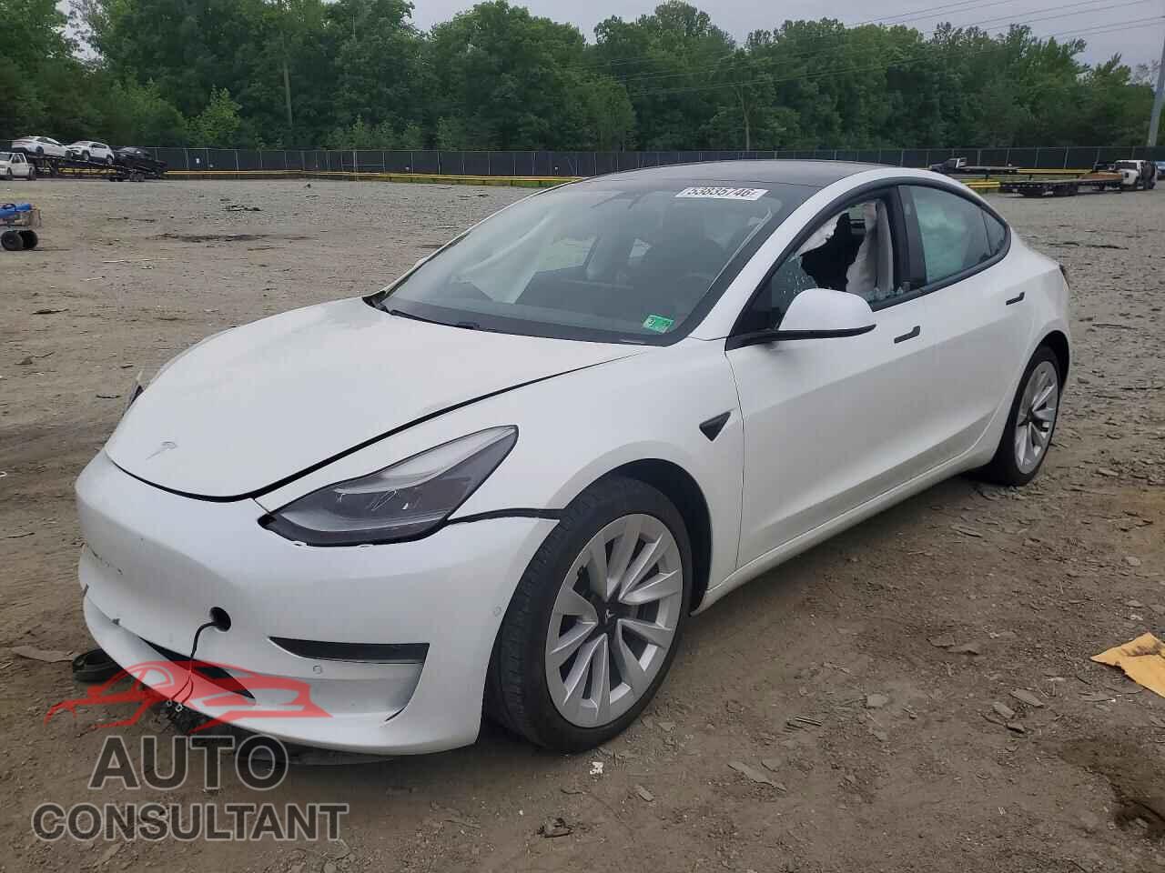 TESLA MODEL 3 2021 - 5YJ3E1EA9MF977828