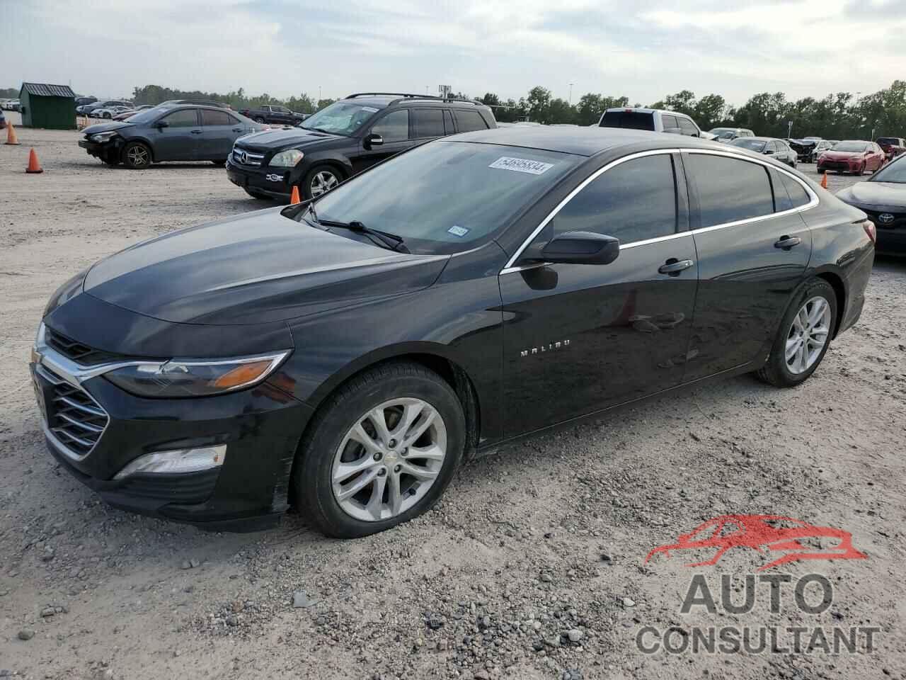 CHEVROLET MALIBU 2019 - 1G1ZD5ST8KF163889