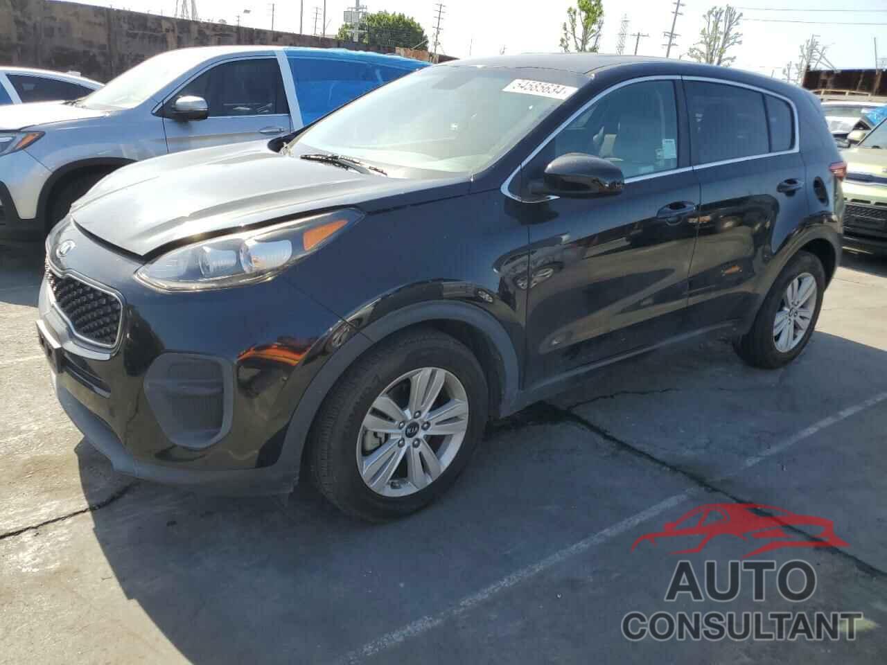 KIA SPORTAGE 2019 - KNDPM3AC3K7579055