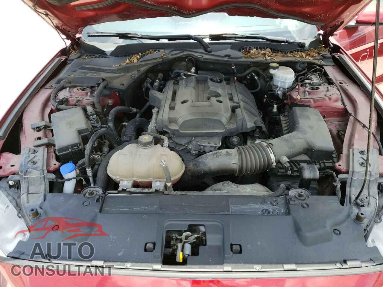 FORD MUSTANG 2019 - 1FA6P8TH8K5185657