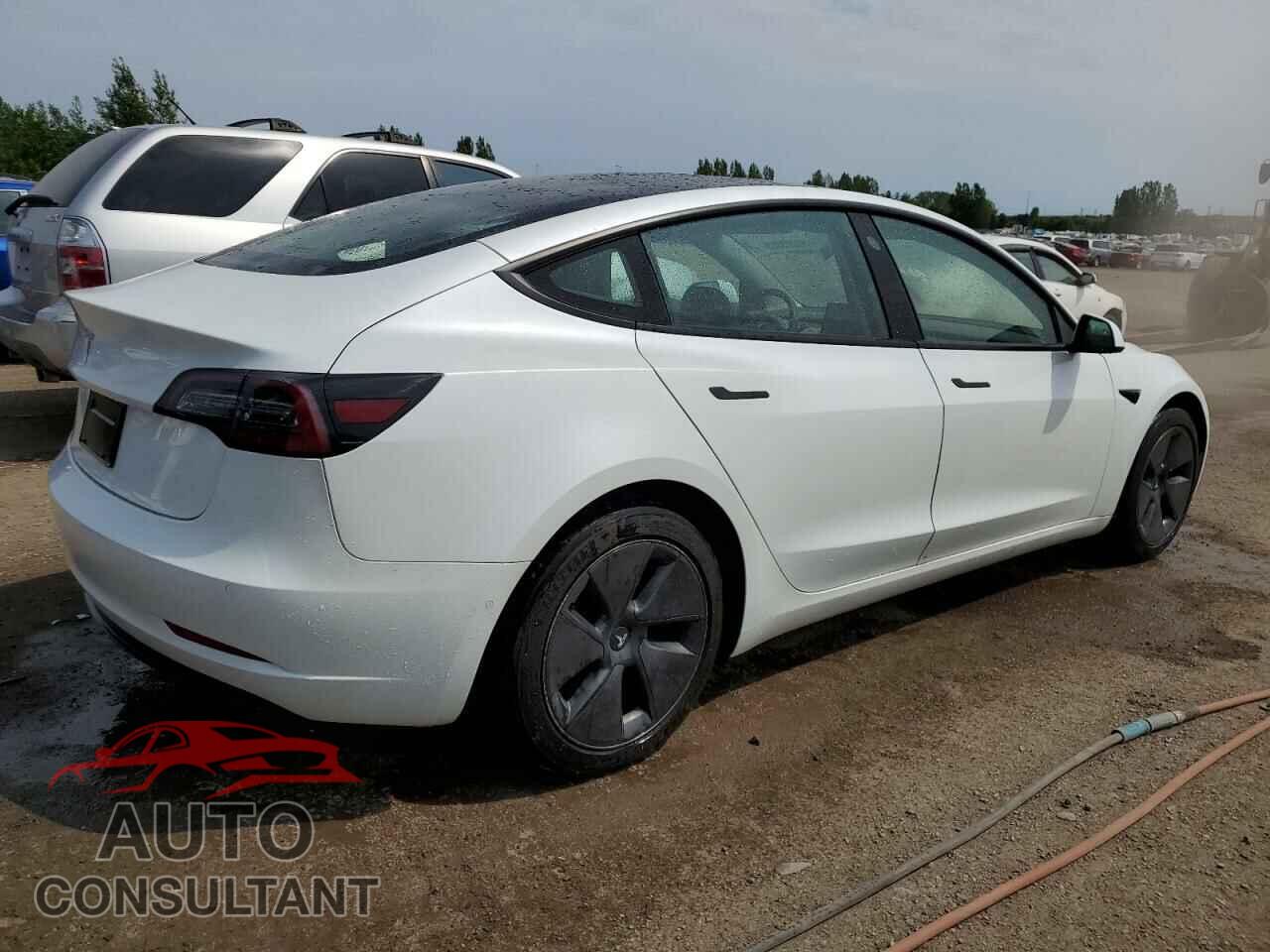 TESLA MODEL 3 2021 - 5YJ3E1EA8MF847846